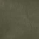 Turtle Green